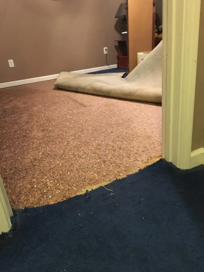 Carpet pad removal revealing water damage during Water Mitigation Services in West Salem